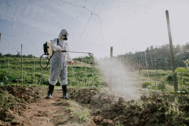 Professional Pest Control in Atascadero, CA