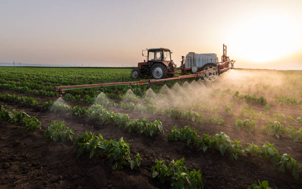 Professional Pest Control in Atascadero, CA