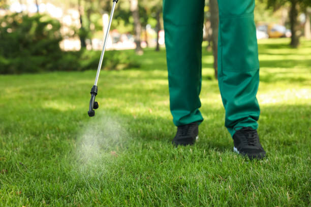 Best Residential Pest Control  in Atasdero, CA