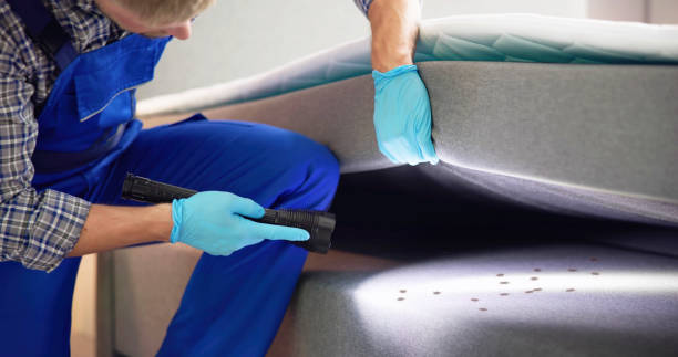 Best Bed Bug Extermination  in Atasdero, CA