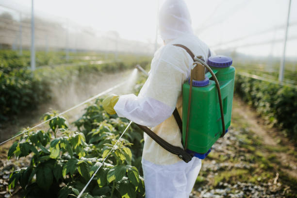 Best Exterminator Services  in Atasdero, CA